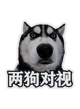 哈士奇表情包两狗对视车贴