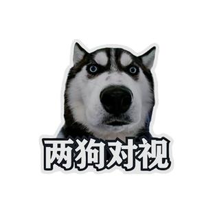 哈士奇表情包两狗对视车贴搞笑有趣汽车装饰贴纸个性创意防水贴画
