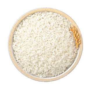 2025年东北大米长粒香米吉林舒兰农家现磨新米直销10斤真空包装