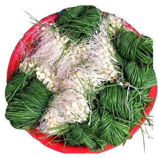 新鲜野葱野菜3斤江西现挖小根蒜胡葱沙葱当季农家菜香葱苦非藠头5