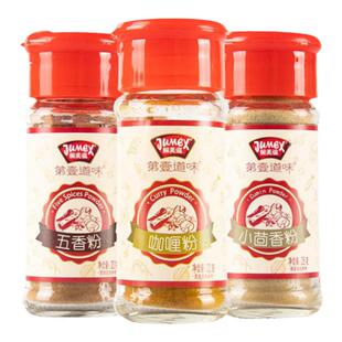 极美滋咖喱粉22g 家用大蒜粉洋葱粉五香粉小茴香烧烤调味料香辛料