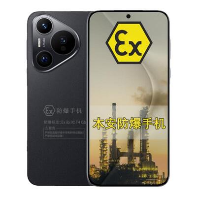 Pura70智能定制防爆手机