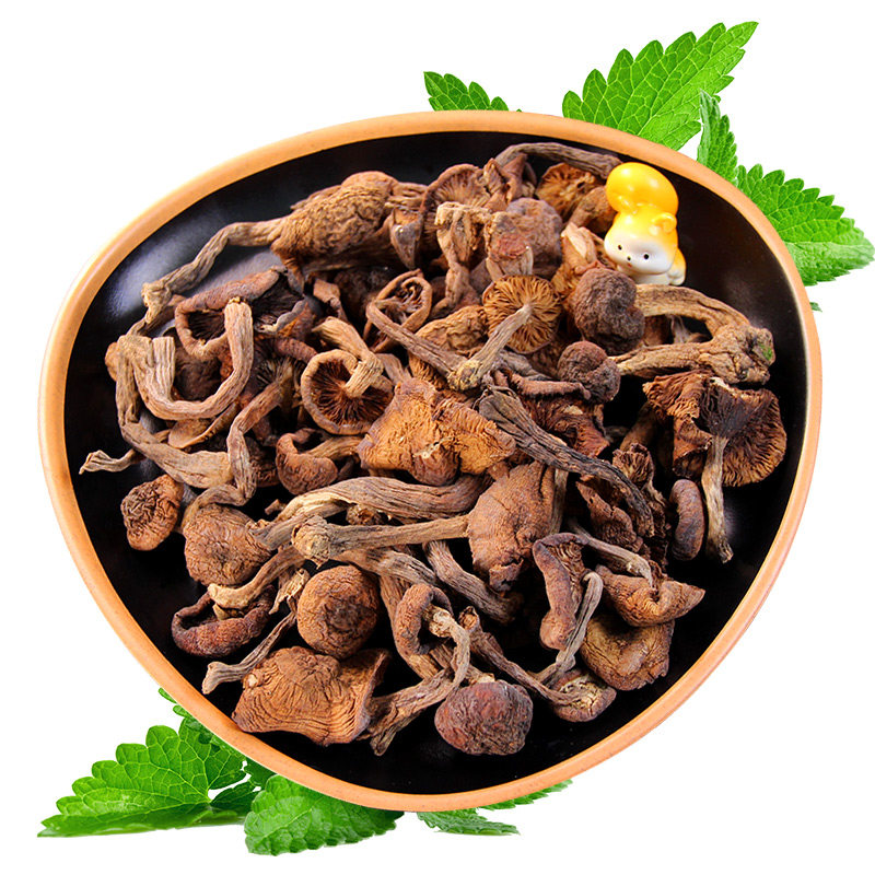 长白山新货小鸡炖东北榛蘑250g