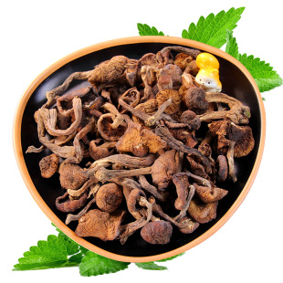 长白山新货小鸡炖榛蘑菇东北榛蘑干货野生榛蘑菇非特级250g包邮