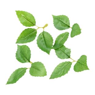 网红仿真植物叶子草过胶梅花叶玫瑰叶薄荷叶蛋糕装饰品绿植配件
