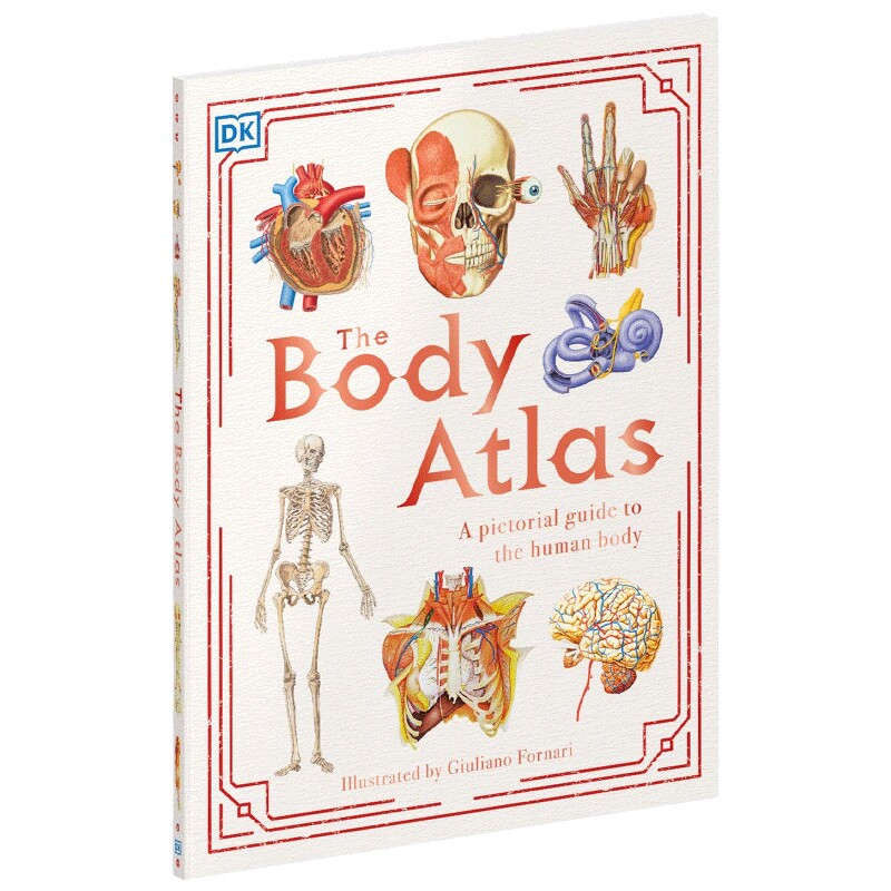 身体图集 探索人体奥秘 英文原版 The Body Atlas 人体图解百科 DK 少儿英语科普读物 英文版进口原版书籍