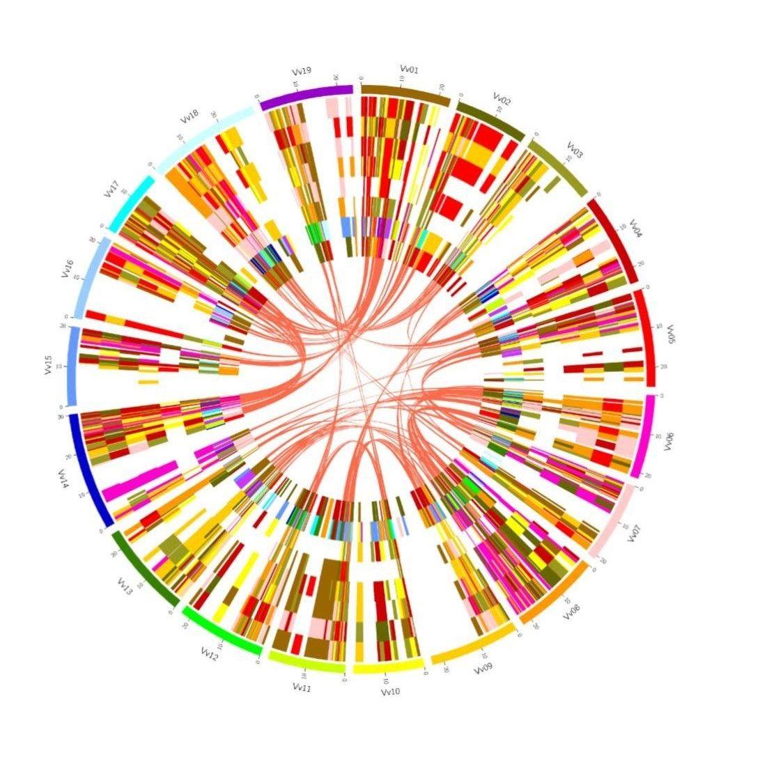 生物转录组服务2-8geo数据挖掘单细胞测序分析网络理服务