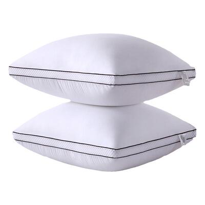 买一送一姝偲羽丝绒抱枕芯不塌陷