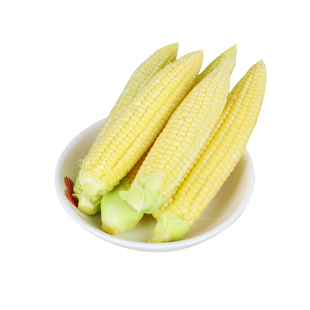 仓鼠零食用品大全玉米笋金丝熊兔子荷兰猪龙猫粮食营养主粮磨牙棒