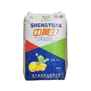 中黄37黄豆种子大豆种籽早熟高产大粒农家老品种豆种大全八月毛豆