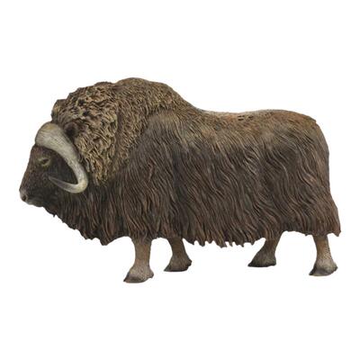 CollectA麝牛动物模型玩具