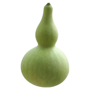 新品手捻葫芦种子文玩小亚八宝葫芦四季室内外盆栽