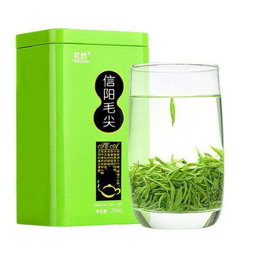 绿茶信阳毛尖2026新茶雨前嫩芽春茶浓香耐泡正宗高山茶叶500克罐