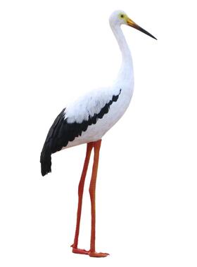 仿真标本户外道具园林景观新品