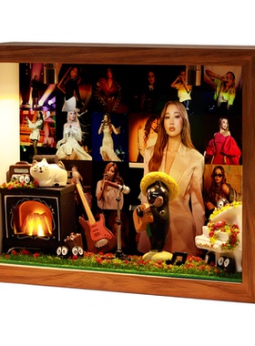 A-Lin周边相框礼物生日创意玄关收纳摆件桌面卧室礼品明星演唱会