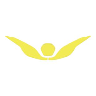 适用豪爵UFR150/UHR150车灯贴膜黄金眼大灯熏黑尾灯防刮贴纸改装