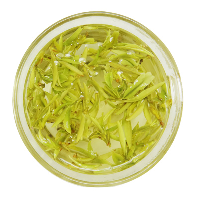 明前头采2025霓凰园舒城小兰花