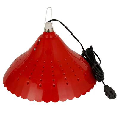 12V48V60V72伏低压地摊灯电瓶生鲜灯卤肉卤菜熟食灯led水果灯红光