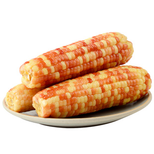 云南西双版纳花糯玉米新货真空开袋即食香甜非转基因糯玉米棒代餐