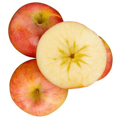 正宗冰糖心丑苹果大山西运城临猗