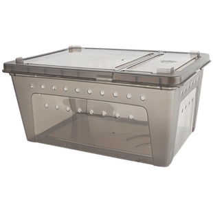 宠尚天 带缸龟缸送2只小乌龟活物活体龟盆巴西龟宠物龟中华草龟