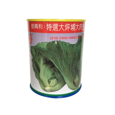 进口香港蔡兴利特选大坪埔大肉包心大芥菜种包心芥种子318