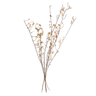 进口南蛇藤天然植物干树枝干花卧室客厅装饰美感室内插花禅意摆件