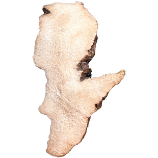 广西野生土茯苓中药材正品干货官方旗舰店的功效与作用新鲜干片