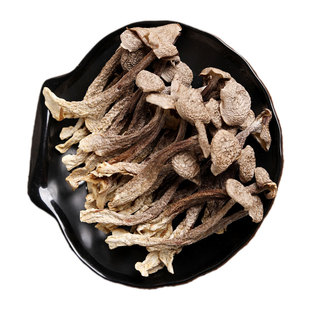 优质云南野生特一级鹿茸菇2025新货干货商用高山正宗精品选非特级