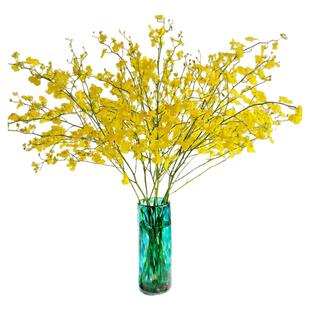 黄色跳舞兰鲜花云南直发橙色真花婚庆水培植物花束文心兰鲜切花