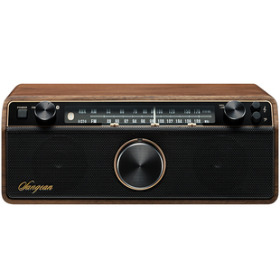 山进12BT蓝牙音响家用客厅环绕音箱高音超重低音炮木制复古收音机