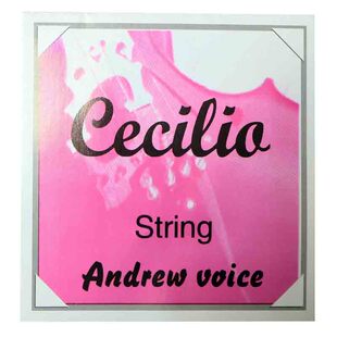 大提琴弦小提琴琴弦弦线演奏级专业级一e弦12234/4进口铝镁合金弦