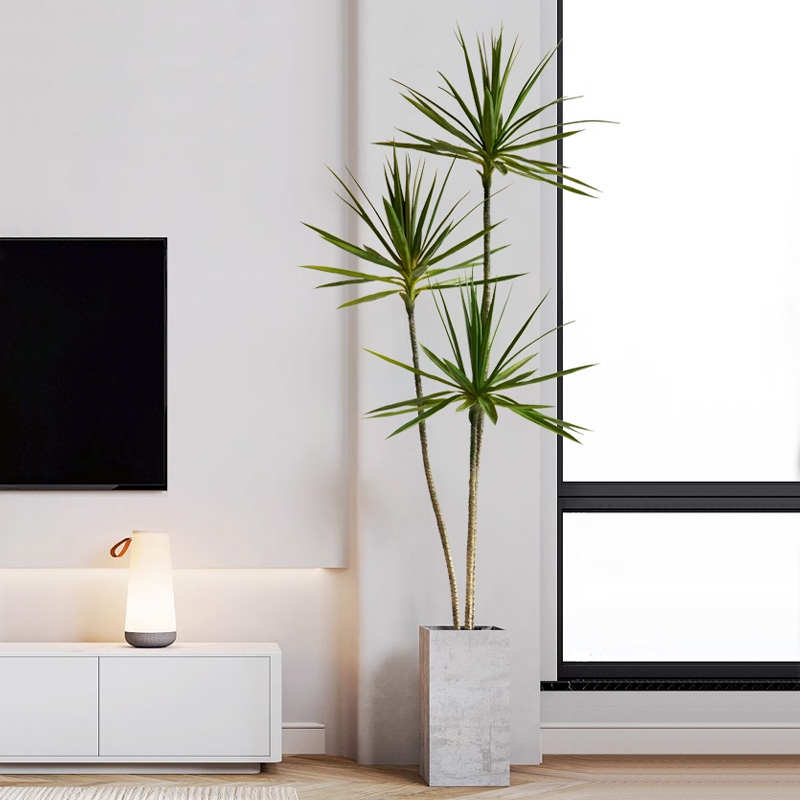 仿真绿植高端轻奢龙舌兰服装店橱窗装饰摆件假盆栽仿真树室内客厅