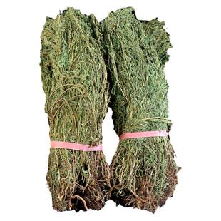 广西软肝草1斤新货 野生 铁甲草中草药益肝草中药材软干草软甘草