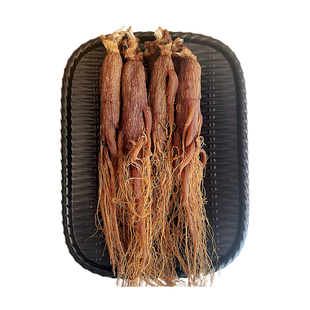 红参整支无糖老红人参东北10年根长白山整根中药材正品官方旗舰店