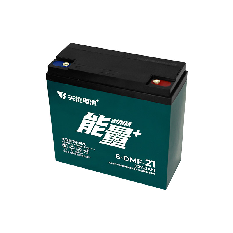 天能12V大容量铅酸电瓶