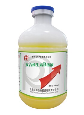 复合维生素b兽用宠物狗猫咪鹦鹉