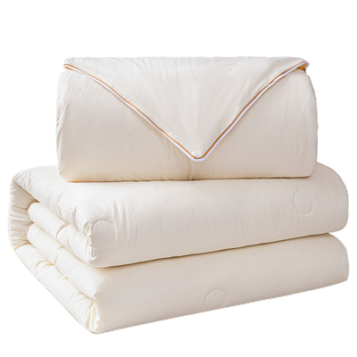 四季通用二合一拉链款子母被