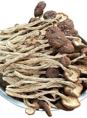 江西剪脚短柄新鲜干茶树菇不开伞