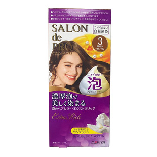 日本Dariya泡沫染发剂白发变黑亚麻色植物天然不刺激黛莉亚染发膏