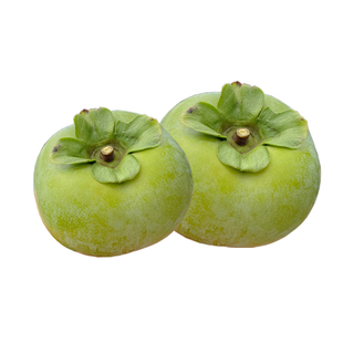 正宗太秋甜柿树苗嫁接日本大秋小果甜脆柿子苗南北方种植对版包活