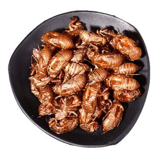 蝉蜕中药材正品知了壳500g脱壳皮蝉蜕金蝉衣金蝉壳蝉皮蝉衣知了皮