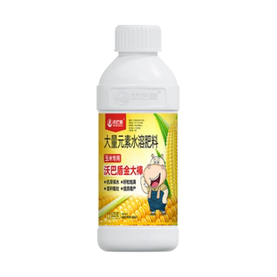 沃巴盾玉米金大棒促根抗病茎秆粗壮棒大粒饱促早熟抗倒伏玉米专用