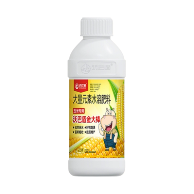 沃巴盾玉米金大棒秆粗壮棒大粒饱