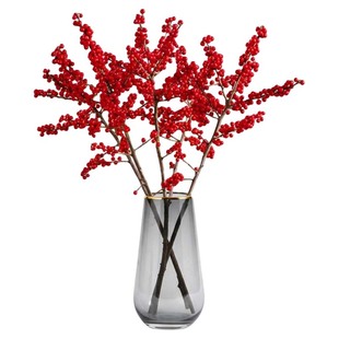 北美冬青红果鲜切花水培植物室内客厅新年桌面插花枝年宵花卉真花
