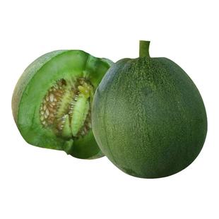 绿宝石甜瓜种子苗超甜薄皮正品香瓜种籽绿皮四季阳台蔬菜水果种孑