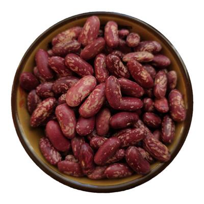 东北紫花芸豆饭豆新鲜农家新货