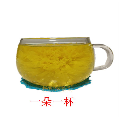 菊花茶金丝皇菊杨村佬