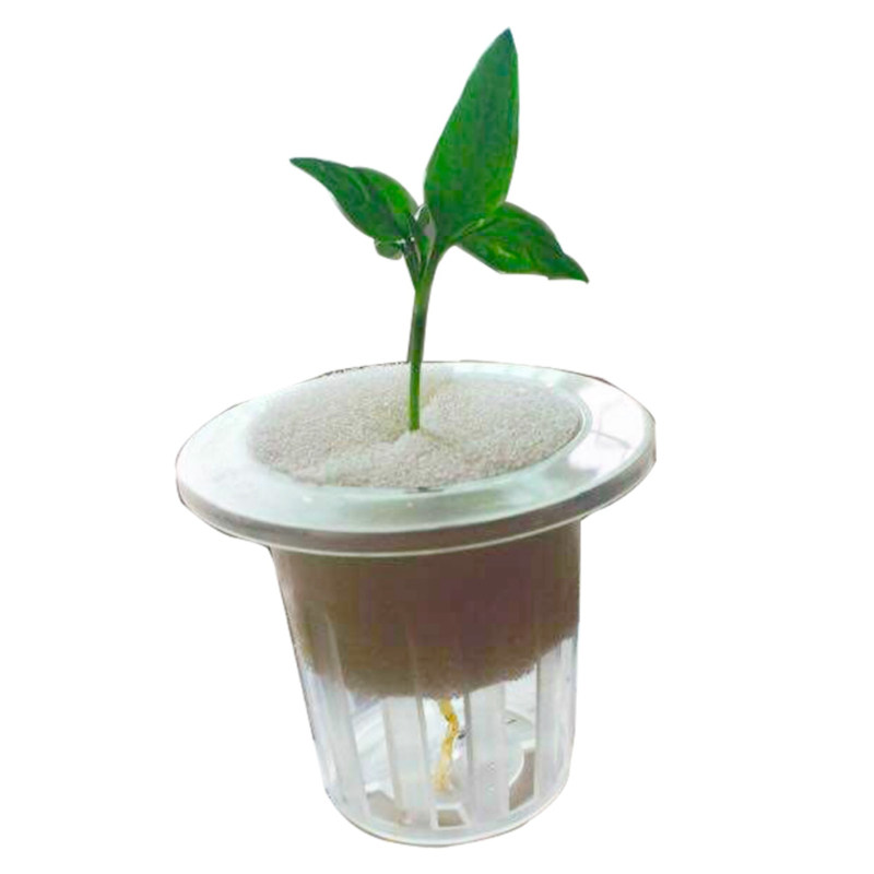 水培植物固定器鱼缸吸盘定植环