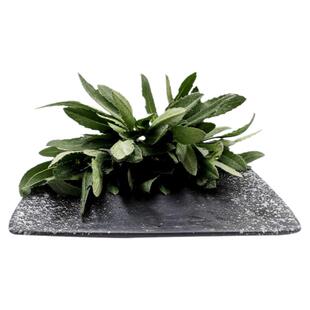 勤励园新鲜刺儿菜1斤无污染蔬菜健康食品零食青菜蔬菜